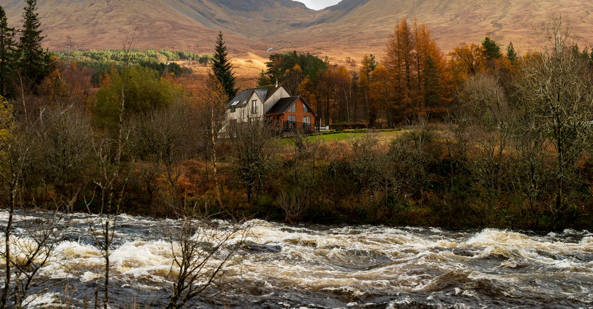 découvrez home tranquility, votre havre de paix pour un intérieur serein et apaisant. transformez votre maison en un espace de calme et de bien-être.