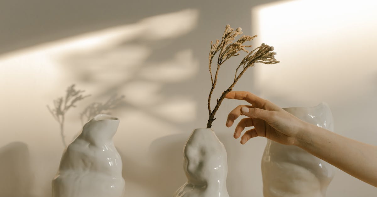 découvrez notre collection de céramiques minimalistes alliant simplicité et élégance pour sublimer votre intérieur avec des pièces uniques et épurées.