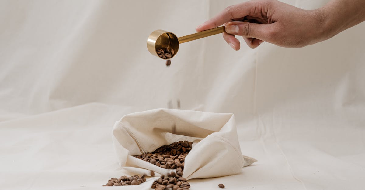 découvrez le mode de vie slow living, une invitation à ralentir, profiter de l'instant présent et retrouver un équilibre naturel entre bien-être et simplicité au quotidien.