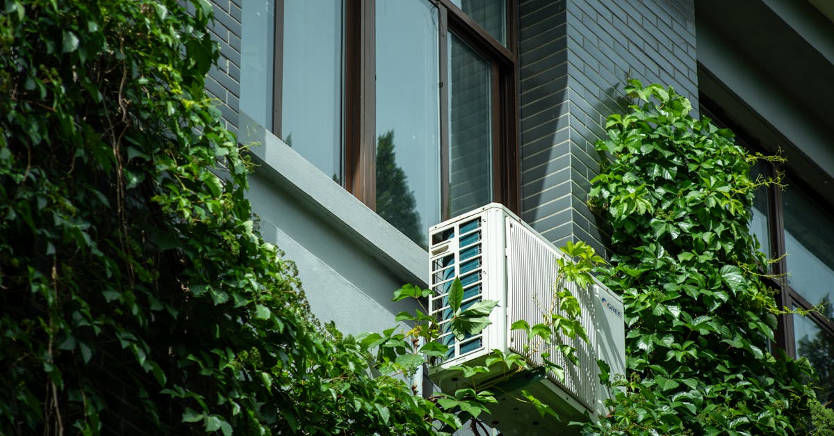 découvrez des conseils et astuces pour adopter un mode de vie durable, réduire votre impact environnemental et protéger la planète au quotidien.