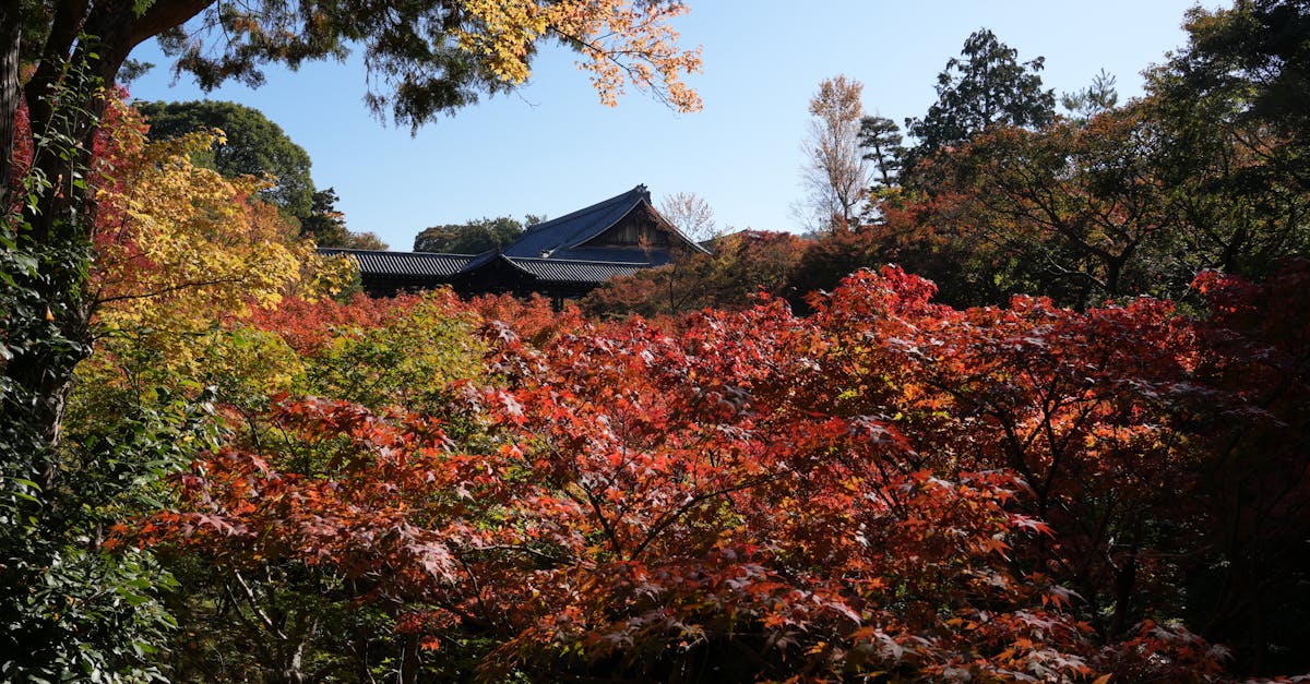 découvrez l'art japonais du raku, une technique de céramique unique alliant tradition et esthétique pour des pièces artisanales à l'esprit zen.