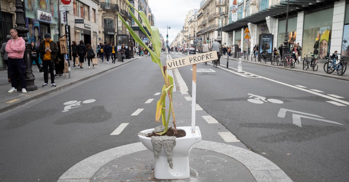 découvrez notre jardinière urbaine moderne, parfaite pour apporter une touche de verdure élégante à votre espace extérieur ou intérieur en milieu urbain.