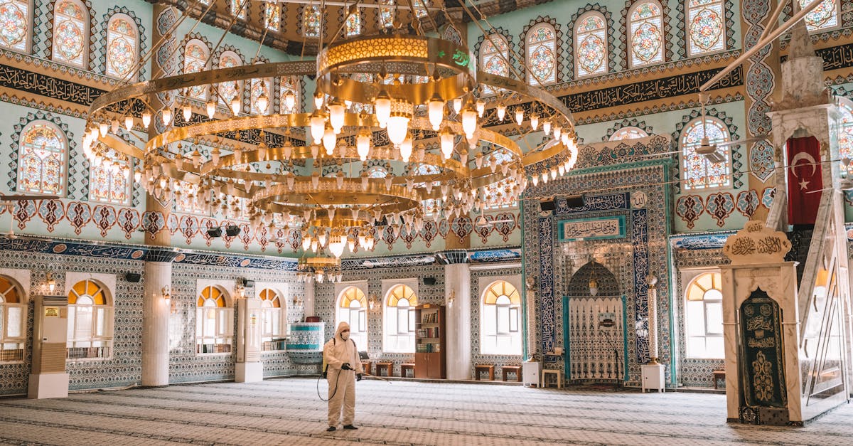 découvrez l'art ottoman, un riche héritage culturel alliant tradition et esthétique unique, reflétant l'histoire et la créativité de l'empire ottoman.
