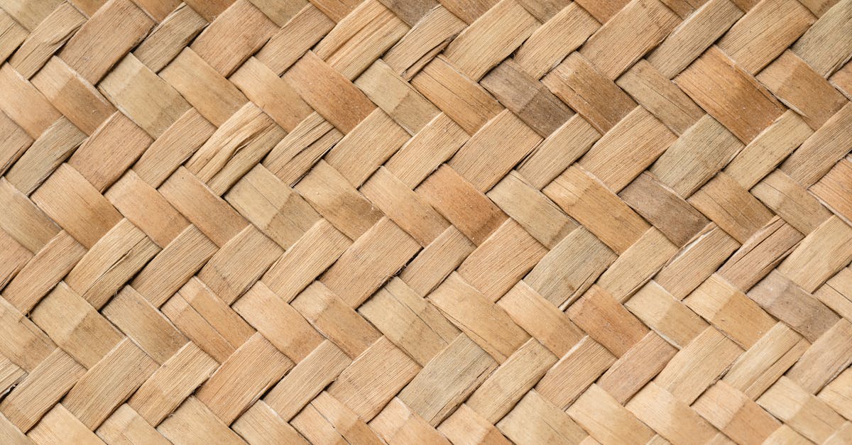 découvrez l'artisanat durable alliant création traditionnelle et respect de l'environnement pour un avenir éco-responsable.