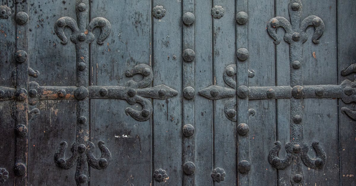 découvrez notre porte en fer forgé alliant élégance et sécurité pour sublimer l'entrée de votre maison.