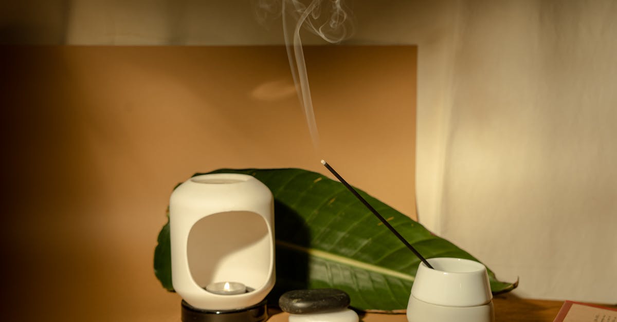 découvrez une atmosphère zen et apaisante pour relaxer votre esprit et harmoniser votre environnement.