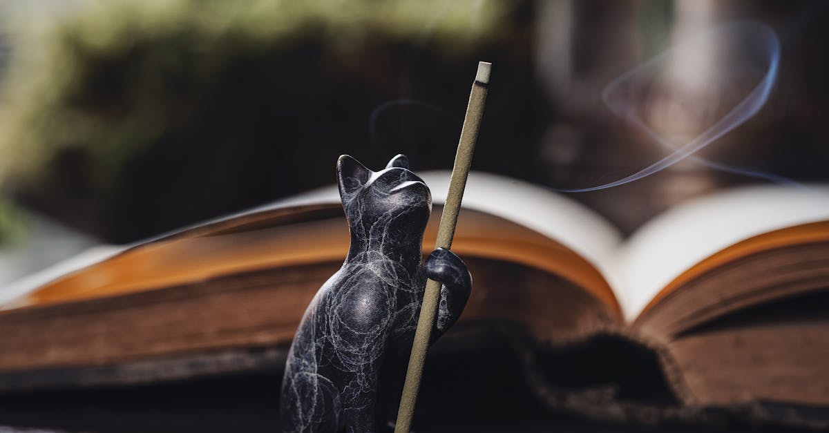 découvrez des idées et inspirations pour une décoration zen, alliant simplicité, harmonie et sérénité afin de créer un espace apaisant et équilibré chez vous.