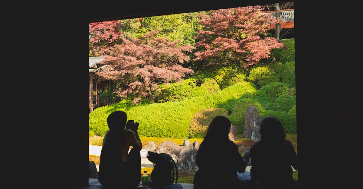 découvrez des idées et inspirations pour la décoration de jardins zen, alliant sérénité, harmonie et élégance naturelle pour un espace extérieur apaisant.