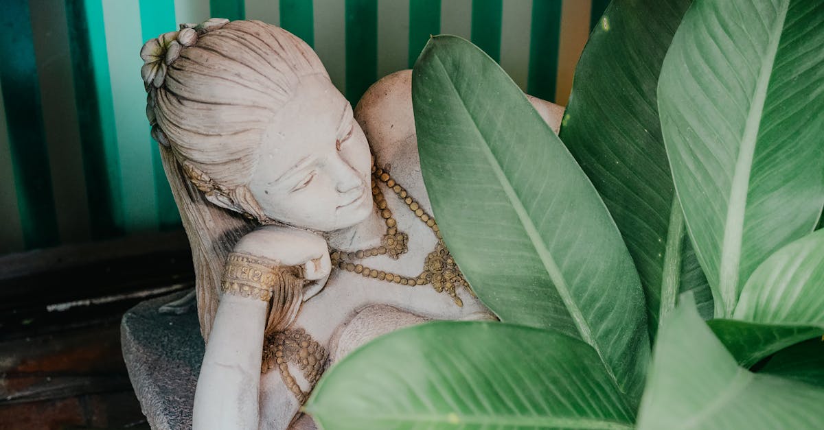 découvrez zen outdoor decoration, votre spécialiste en décoration extérieure pour créer un espace zen, harmonieux et apaisant dans votre jardin ou terrasse.