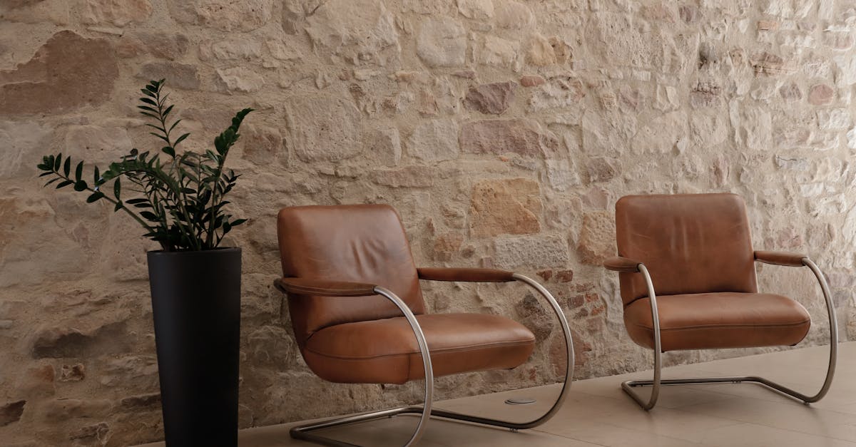 découvrez zen space, un havre de paix et de sérénité pour votre bien-être mental et physique. plongez dans un espace dédié à la relaxation et à la méditation.