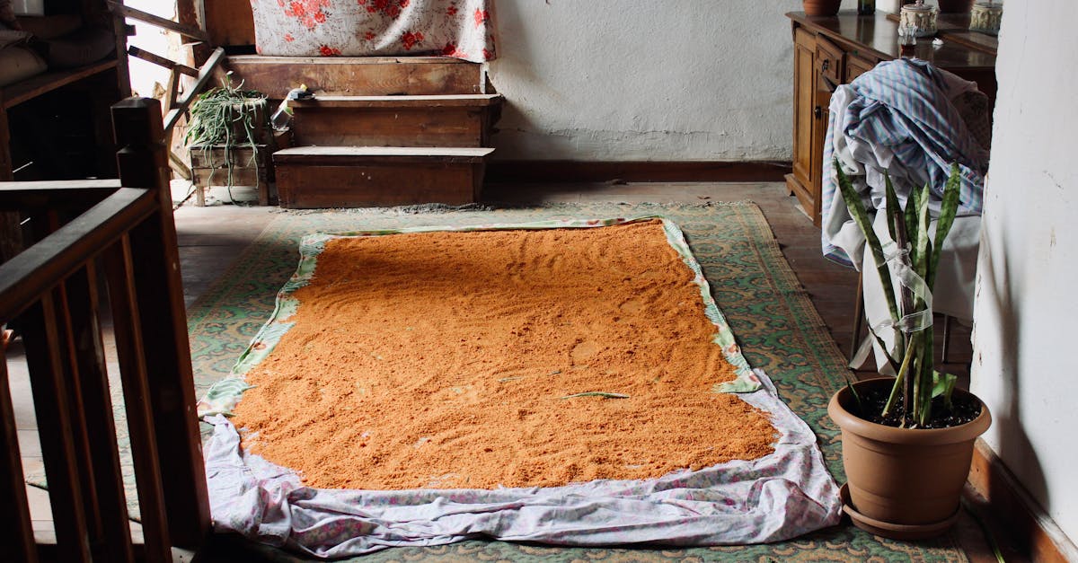 découvrez la beauté intemporelle des tapis anatoliens, symboles d'artisanat traditionnel et de culture riche du cœur de la turquie.