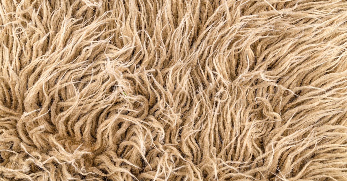 découvrez l'art traditionnel du tissage anatolien, riche en couleurs et motifs uniques, symbole du patrimoine culturel d'anatolie.