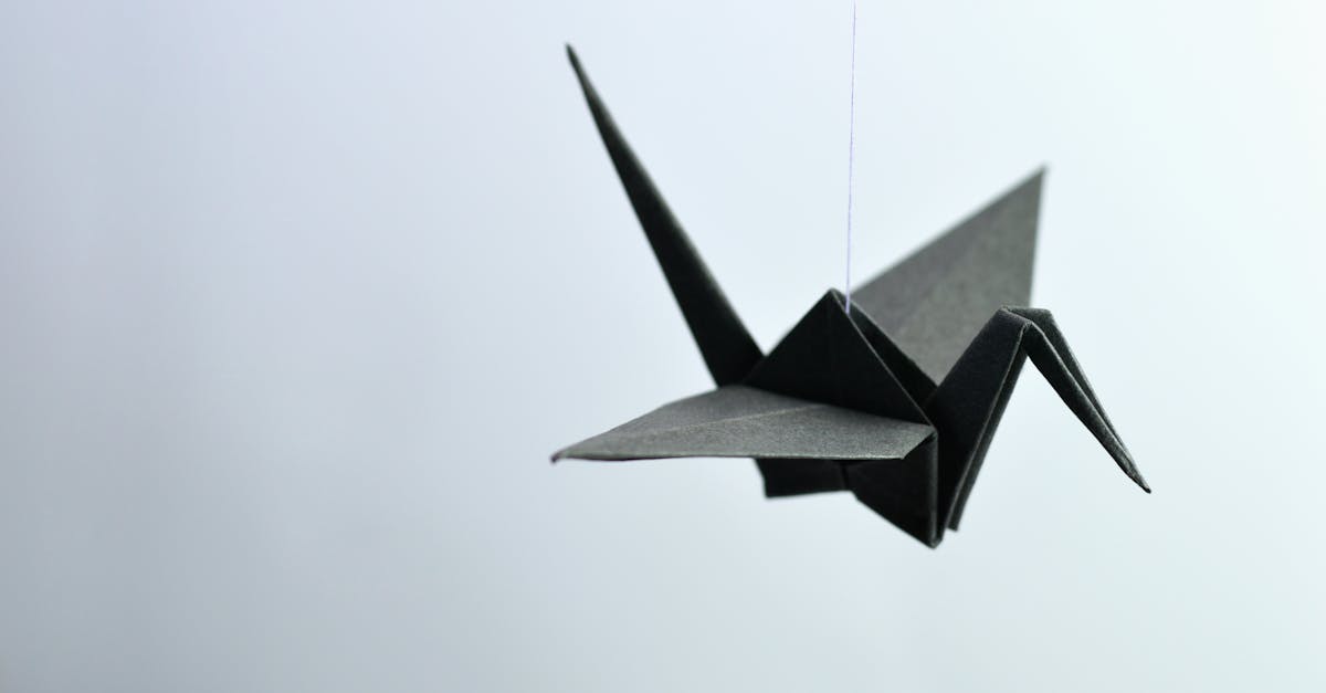 découvrez l'art du origami fait main : des créations uniques et délicates en papier plié avec soin pour décorer votre intérieur ou offrir en cadeau.