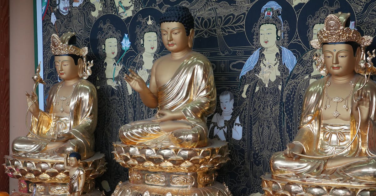 découvrez zen decor, votre boutique en ligne pour une décoration intérieure apaisante et élégante alliant simplicité et harmonie.
