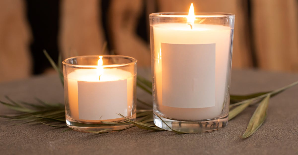 découvrez notre poster de décoration zen, une touche apaisante et élégante pour harmoniser votre intérieur et favoriser la sérénité.
