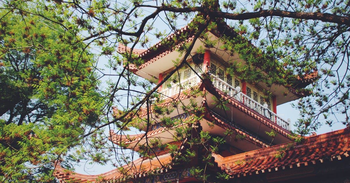 découvrez notre arbre décoratif zen, une pièce élégante qui apporte sérénité et harmonie à votre intérieur.