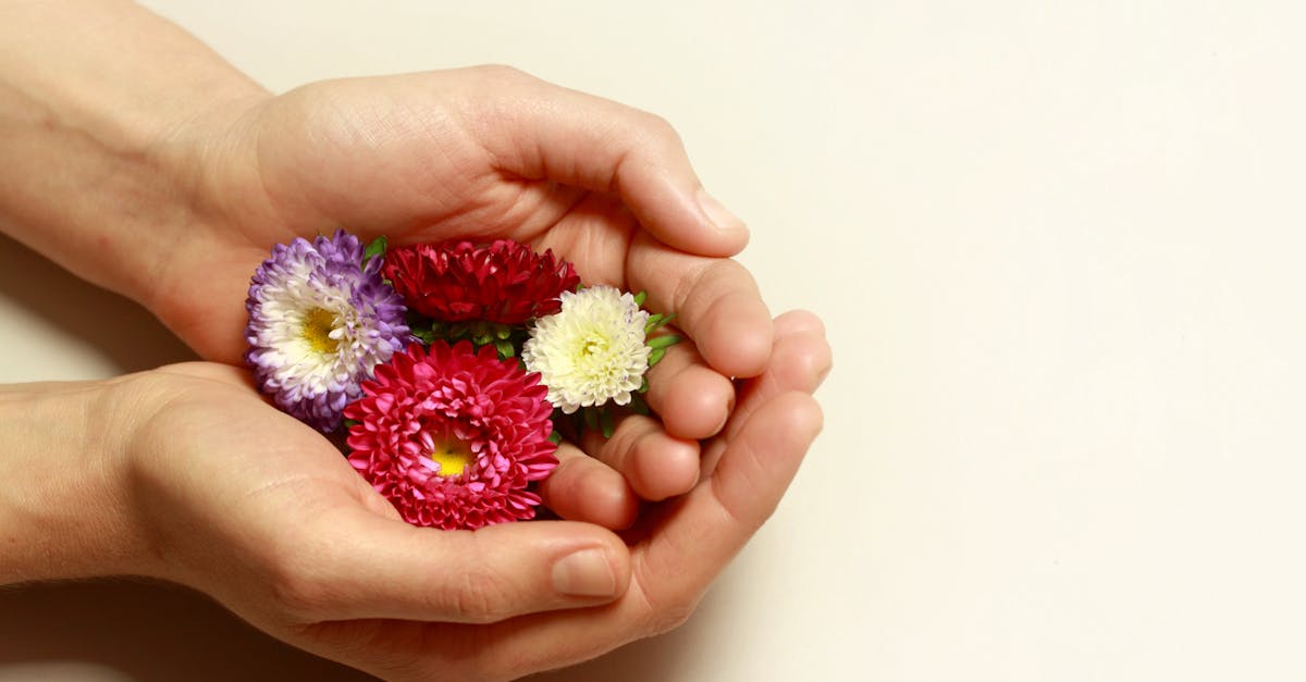 découvrez zen gifts, la sélection parfaite de cadeaux apaisants pour offrir bien-être et sérénité à vos proches.
