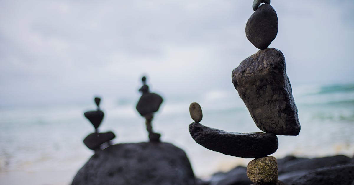 découvrez l'état de calme et de sérénité avec 'zen'. apprenez à maîtriser votre esprit, réduire le stress et vivre pleinement le moment présent grâce à nos conseils et pratiques inspirantes.