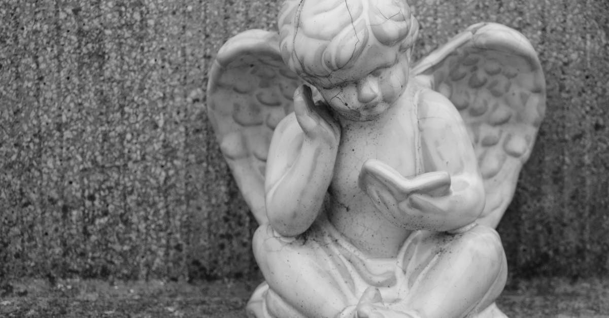 découvrez notre collection d'anges en céramique, des décorations élégantes et délicates pour embellir votre intérieur ou offrir un cadeau plein de charme.