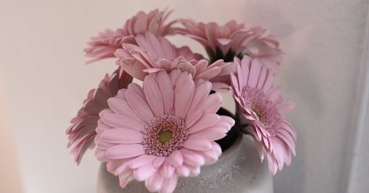 découvrez notre collection élégante de fleurs en céramique, parfaites pour décorer votre intérieur avec une touche artistique et durable.