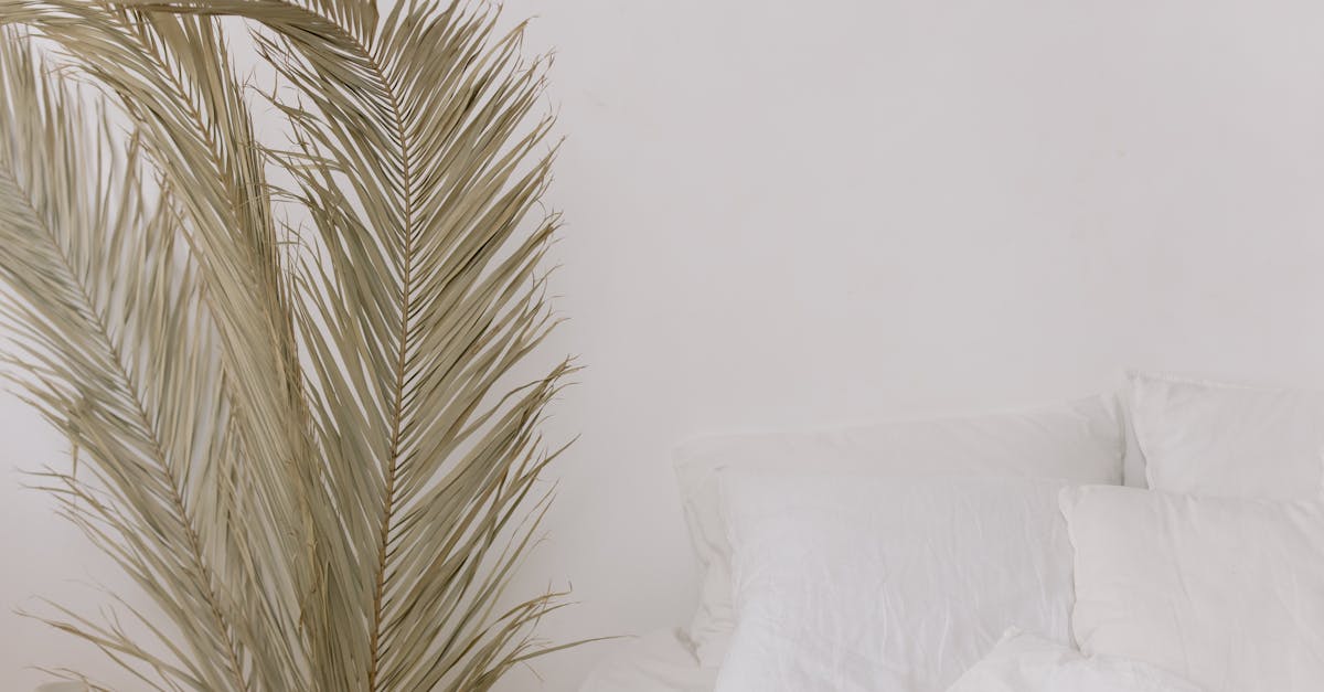 découvrez des idées de décoration pour une chambre zen, alliant simplicité, harmonie et sérénité pour un espace de repos apaisant.