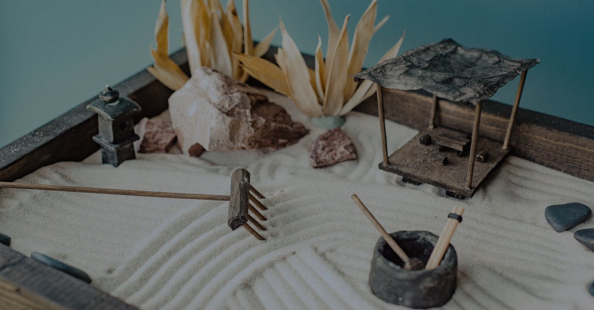 découvrez des conseils pratiques pour décorer votre jardin zen et créer un espace de paix et de sérénité chez vous.
