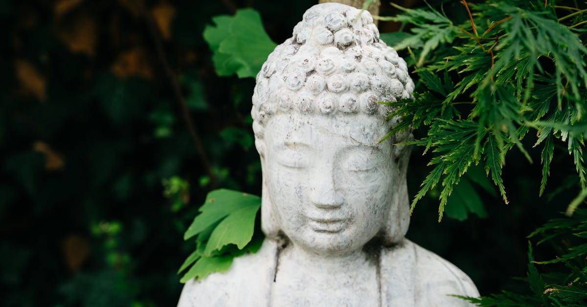 découvrez des idées de décoration pour un jardin zen, alliant sérénité et harmonie grâce à des éléments naturels et apaisants.