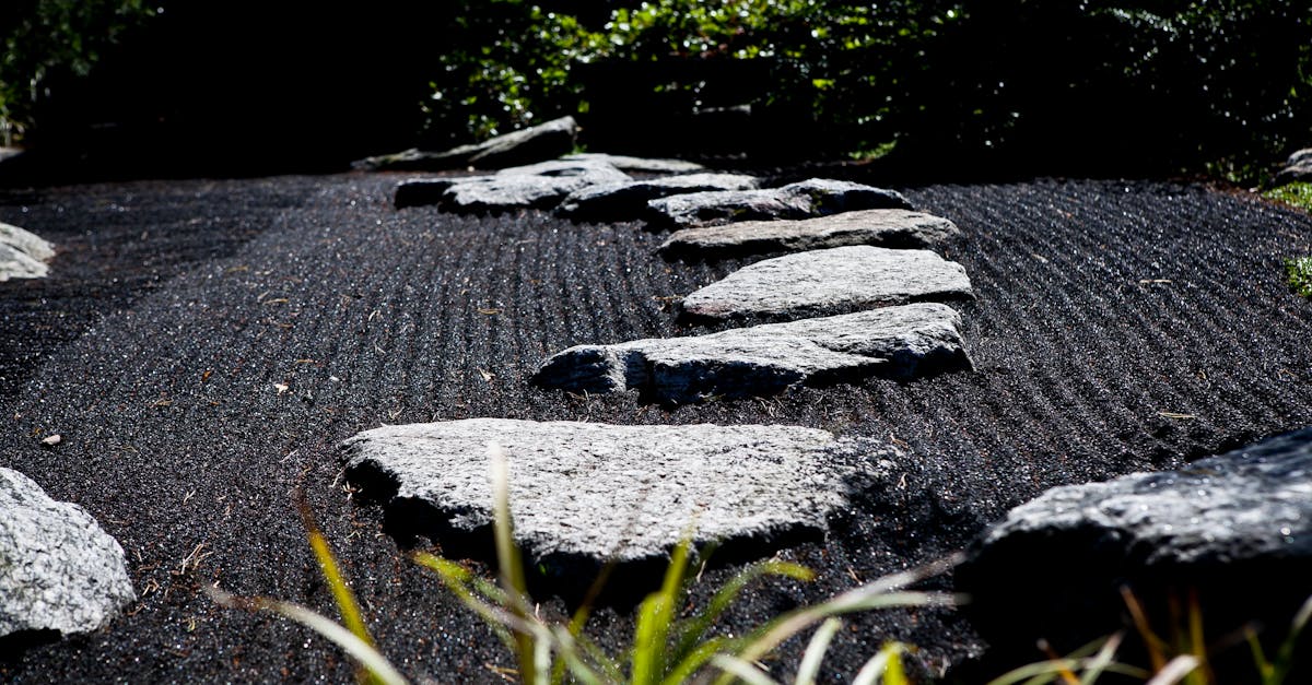 découvrez notre jardin zen, un espace de sérénité et d'harmonie pour se détendre et méditer en pleine nature.