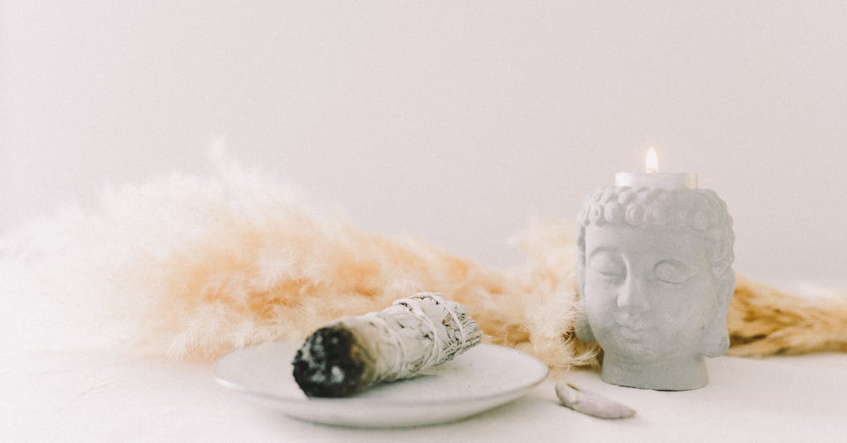 découvrez zen home decor, votre destination pour une décoration intérieure apaisante et élégante, inspirée par la philosophie zen pour un espace harmonieux et relaxant.