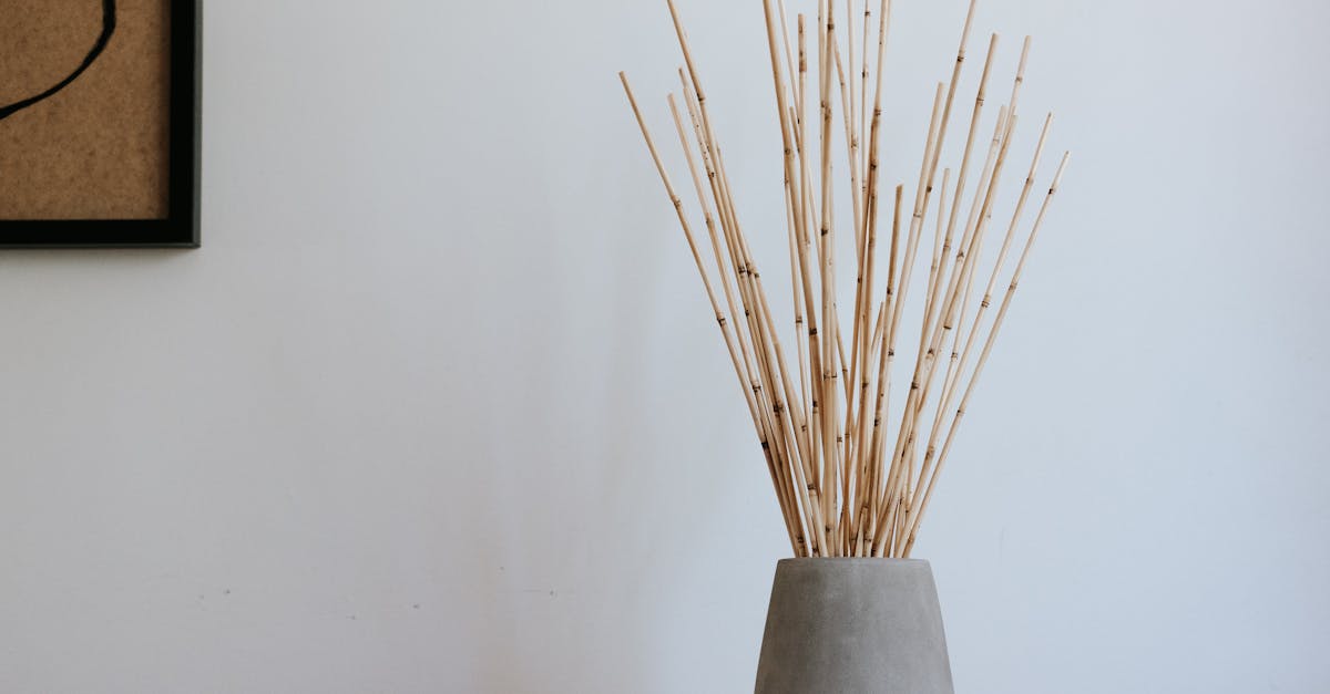 découvrez zen interior design, votre spécialiste en aménagement d'espaces apaisants et minimalistes pour un intérieur harmonieux et relaxant.