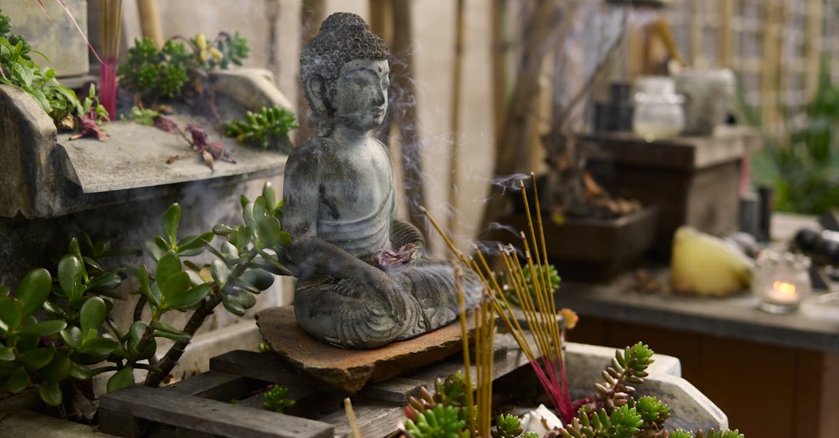 découvrez zen outdoor decor, des créations apaisantes et élégantes pour sublimer votre espace extérieur avec une touche de sérénité et d’harmonie.