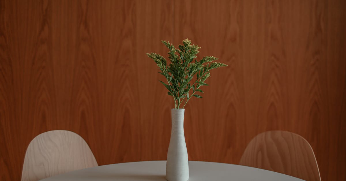 découvrez notre collection élégante de vases en céramique, parfaits pour sublimer votre décoration intérieure avec style et raffinement.