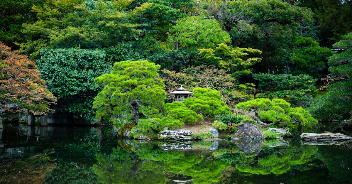 découvrez la sérénité et l'harmonie d'un jardin zen, un espace apaisant pour méditer et se reconnecter avec la nature.